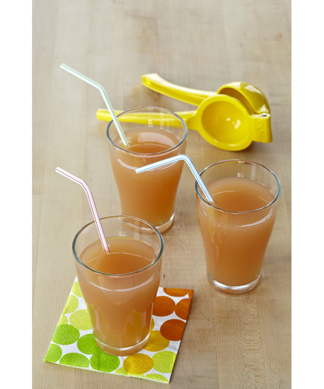 IMUSA Citrus Squeezer
