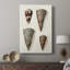 Collection Cone Shell I -Gallery Wraraped Cavas-2086484121