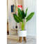 Palmier artificiel 18,75 "en pot