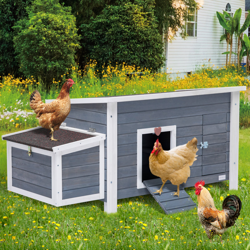 Poulailler avec nichoir 10,65 pieds carrés Cerine, Gris