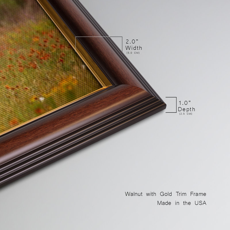 Sunlit Midwest I - reproduction de photo sur toile simple, H 25 po x l 45 po x P 2,5 po
