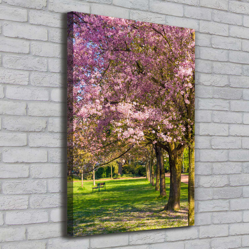 Cherry Trees - Wrapped Canvas Print
