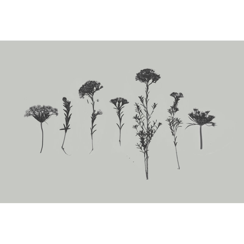 " Wildflower Memory II " by Jennifer Goldberger Painting Print, 8" H x 12" W x 1.25" D