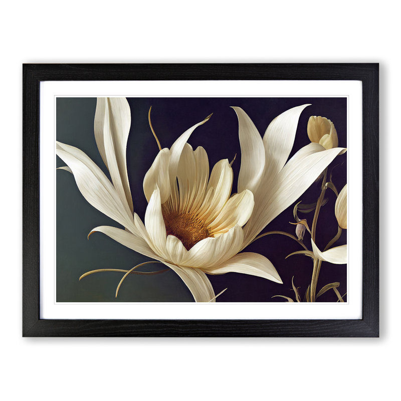 Enviable Flower - Single Picture Frame Print, Black, 46cm H x 64cm W