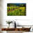 Alvord Yellow Mustard And Grapevines-107704890