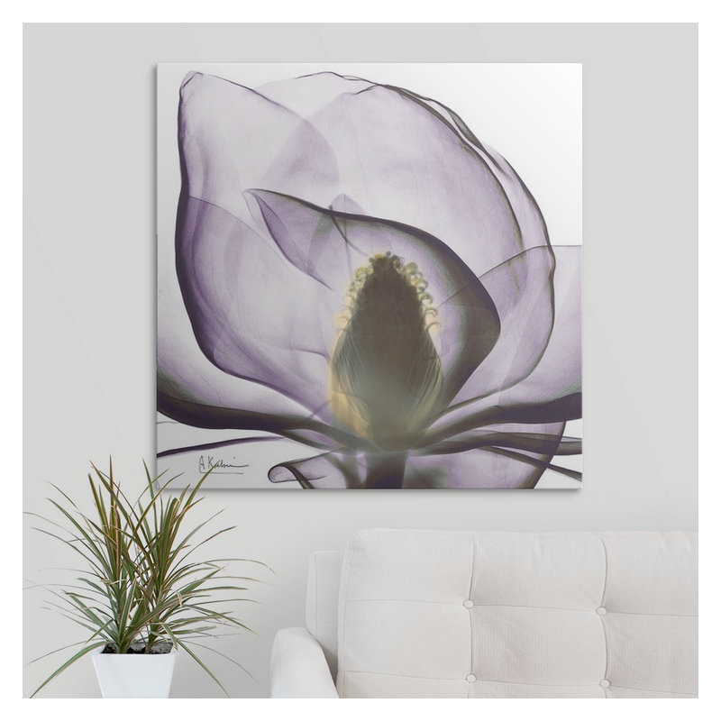 Manigault 'Magnolia X-Ray by Kiranjit Photographic Print, 12" H x 12" W x 1.5" D, Canvas