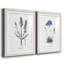 Lavande - ensemble de 2 reproductions d'impressions-467967548-484035728-484035729