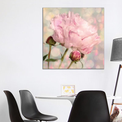 Peony Buds - Wrapped Canvas Painting