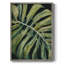 Nocturnal Monstera I, reproduction encadrée - bois massif 2965217