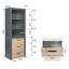 Ceji Bookcase