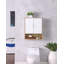 Armoire de salle de bain murale à double porte