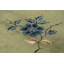 One-of-a-Kind 3'0x6'4 Hand Knotted Area Rug