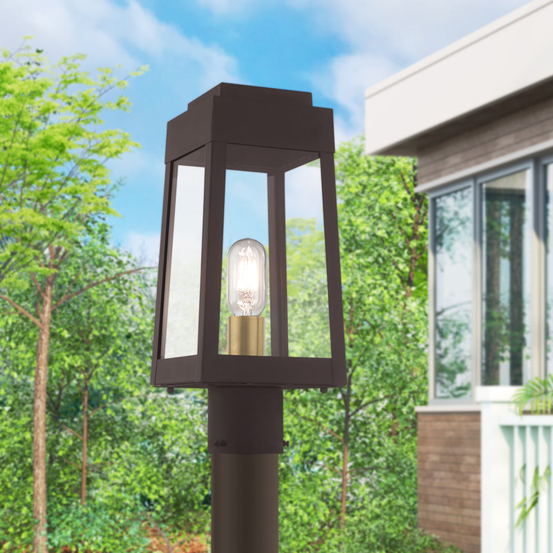 Antionetta Transparent Lantern Head, Bronze