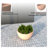 Rynley Modern Fiberstone and Clay Planter - Round Plant Pot with Drainage Holes for Indoor and Outdoor Home -2018817401-2018817406
