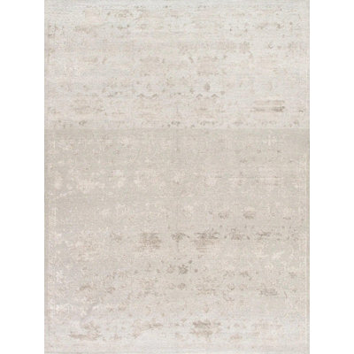 Dyllan No Pattern and Not Solid Color Handmade Hand-Knotted Rectangle 8'10" x 11'10" Cotton/Wool Area Rug in Silver
