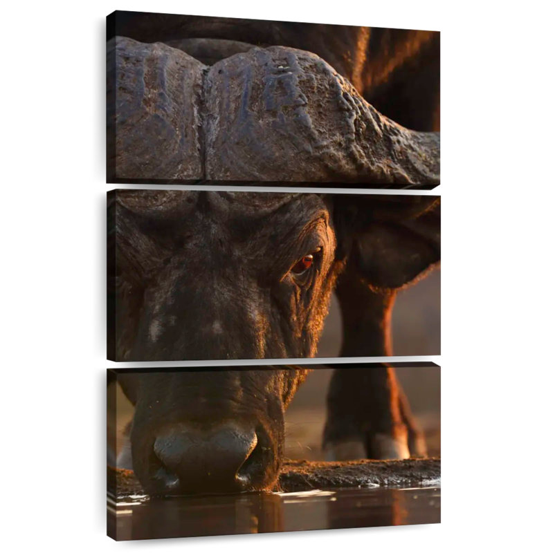 Brampt Drinking Cape Buffalo, 32" H x 20" W