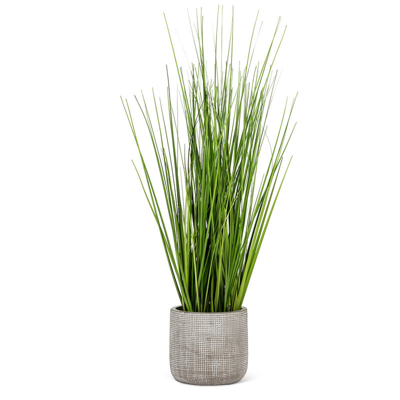 Hautes herbes en pot