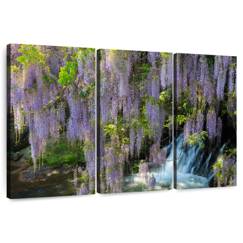 Harnek Wisteria Cascade, H 42 po x l 65 po