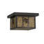 Rustic Lodge 1 - Light Flush Mount-16183613