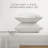 4 Piece Delicate Details Pattern Sheet Set-98636015-97832690
