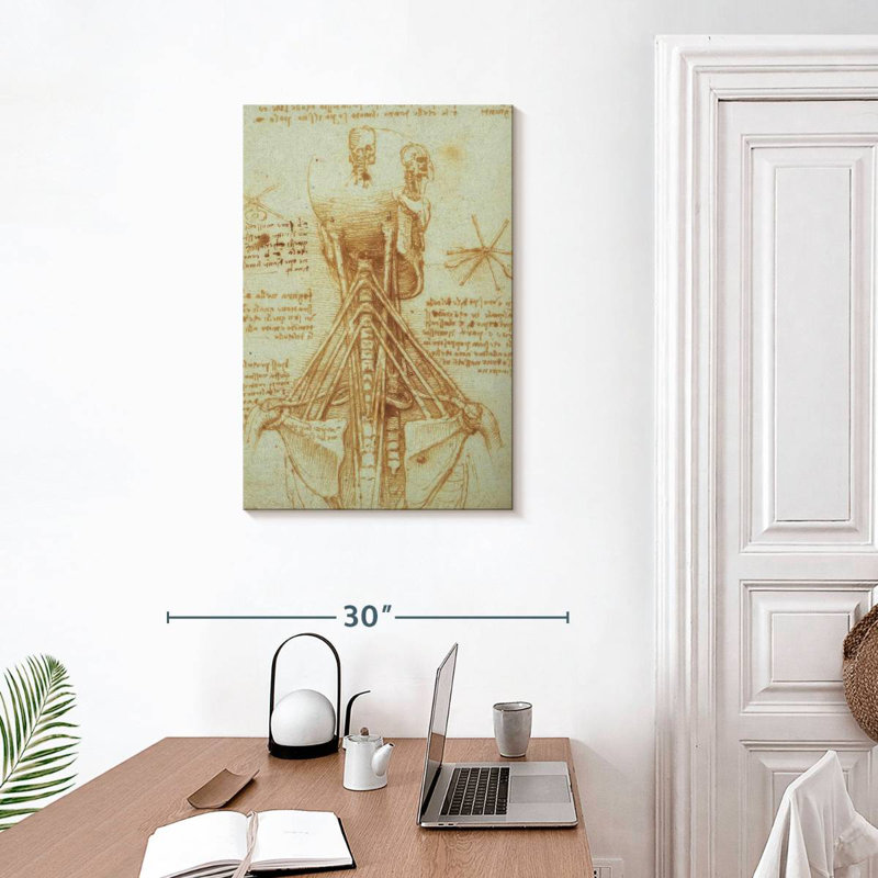 Anatomie du cou Keiri, H 30 po x l 20 po