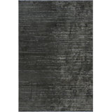 Rapture Gray No Pattern and Not Solid Color Luxury Area Rug