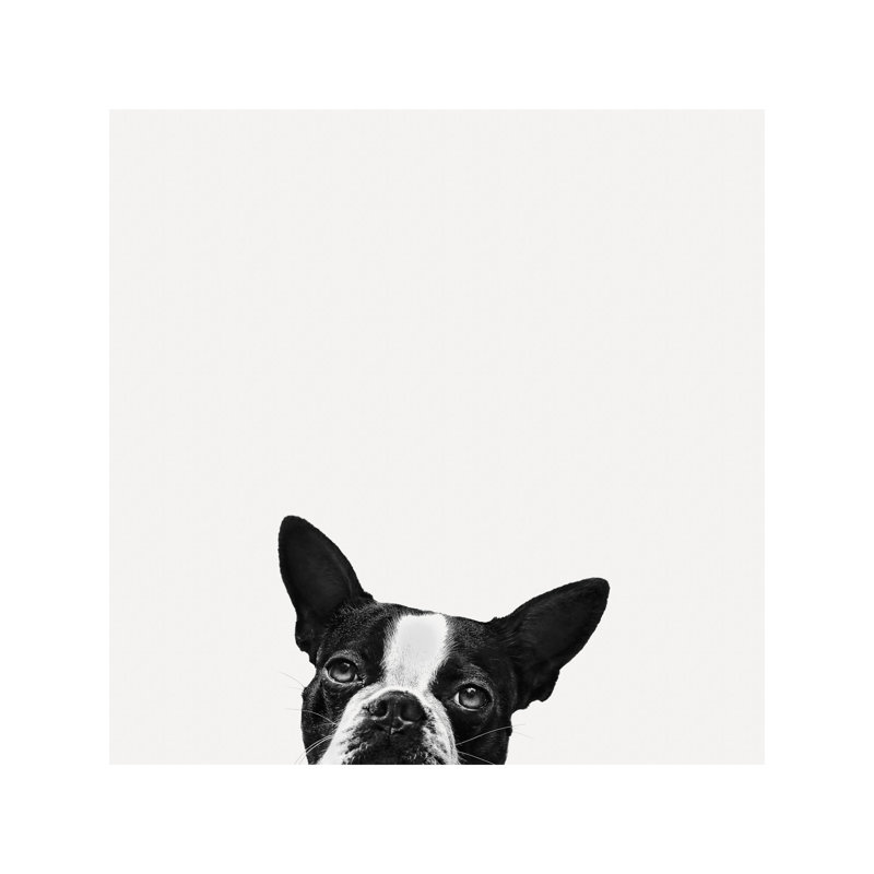 Jon Bertelli - Wrapped Canvas Print, 45.72 cm H x 45.72 cm W x 3.175 cm D