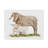 Canvas Art-31882957