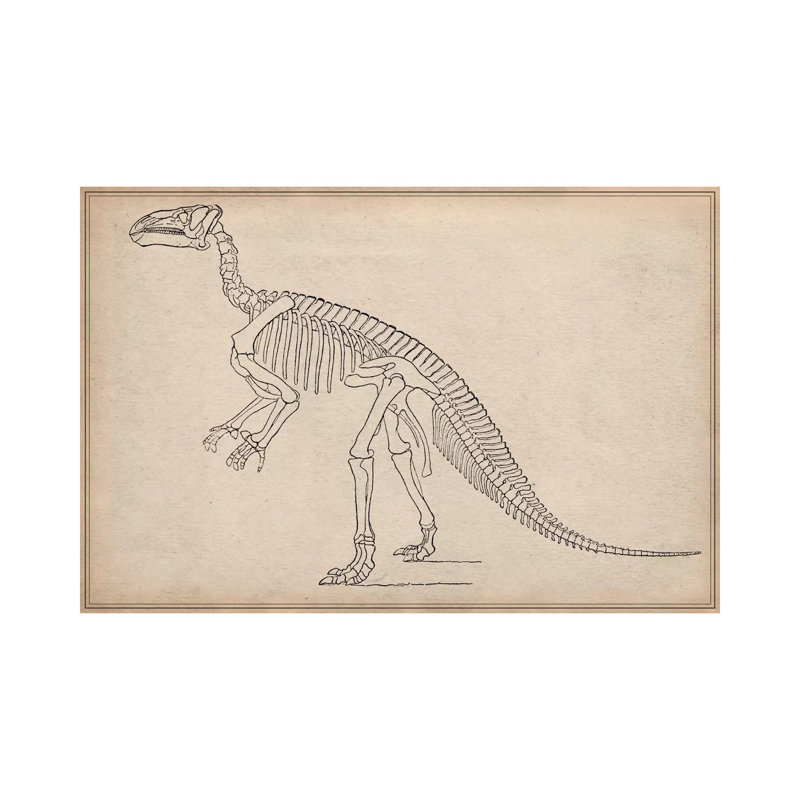 Iguanodon Skeleton Anatomy - Wrapped Canvas Print, 66.04 cm H x 45.72 cm W x 3.175 cm D