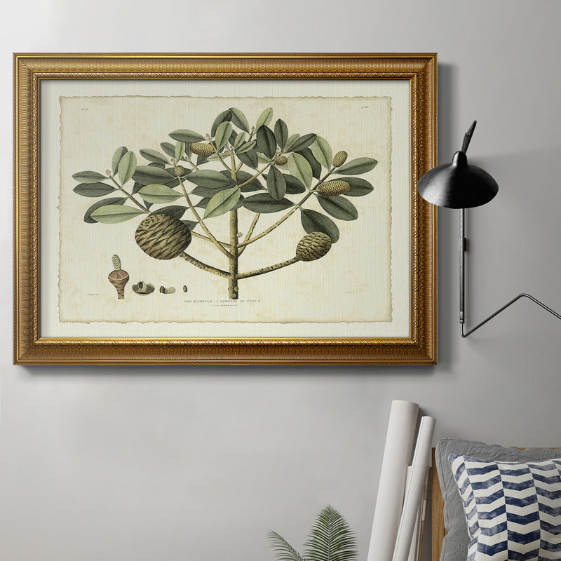 " Delicate Botanical IV "