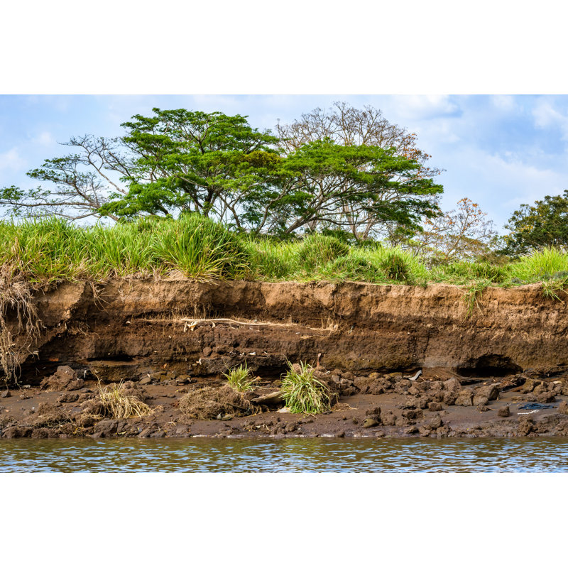 Cullivan Tropical Erosion - Wrapped Canvas Print, 30cm H x 46cm W x 3.8cm D
