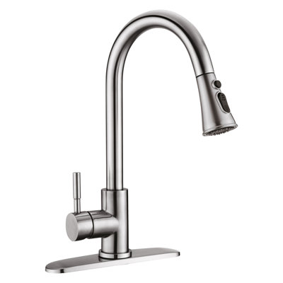 SOUEEUM Pull Down Kitchen Faucet
