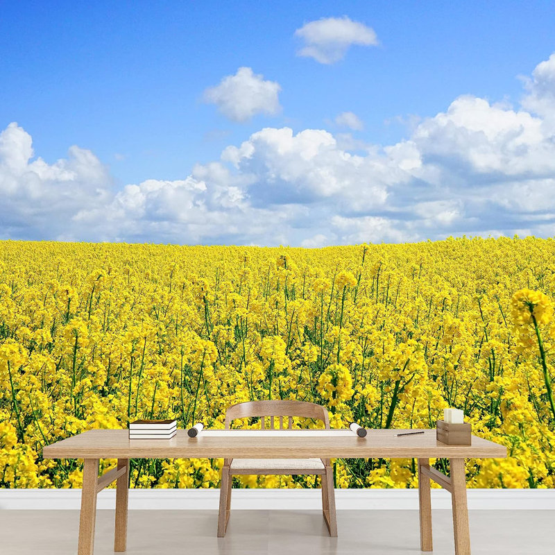 Murale champ de coquelicots jaunes Country Farm, L 100 po x l 144 po