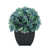Turquoise antique est en rupture de stock