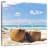 Yarlin Cuban Beach Coconuts-111881805