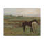 «Horses in A Meadow» par Edgar Degas, reproduction de peinture à l'huile sur toile tendue-1514917864