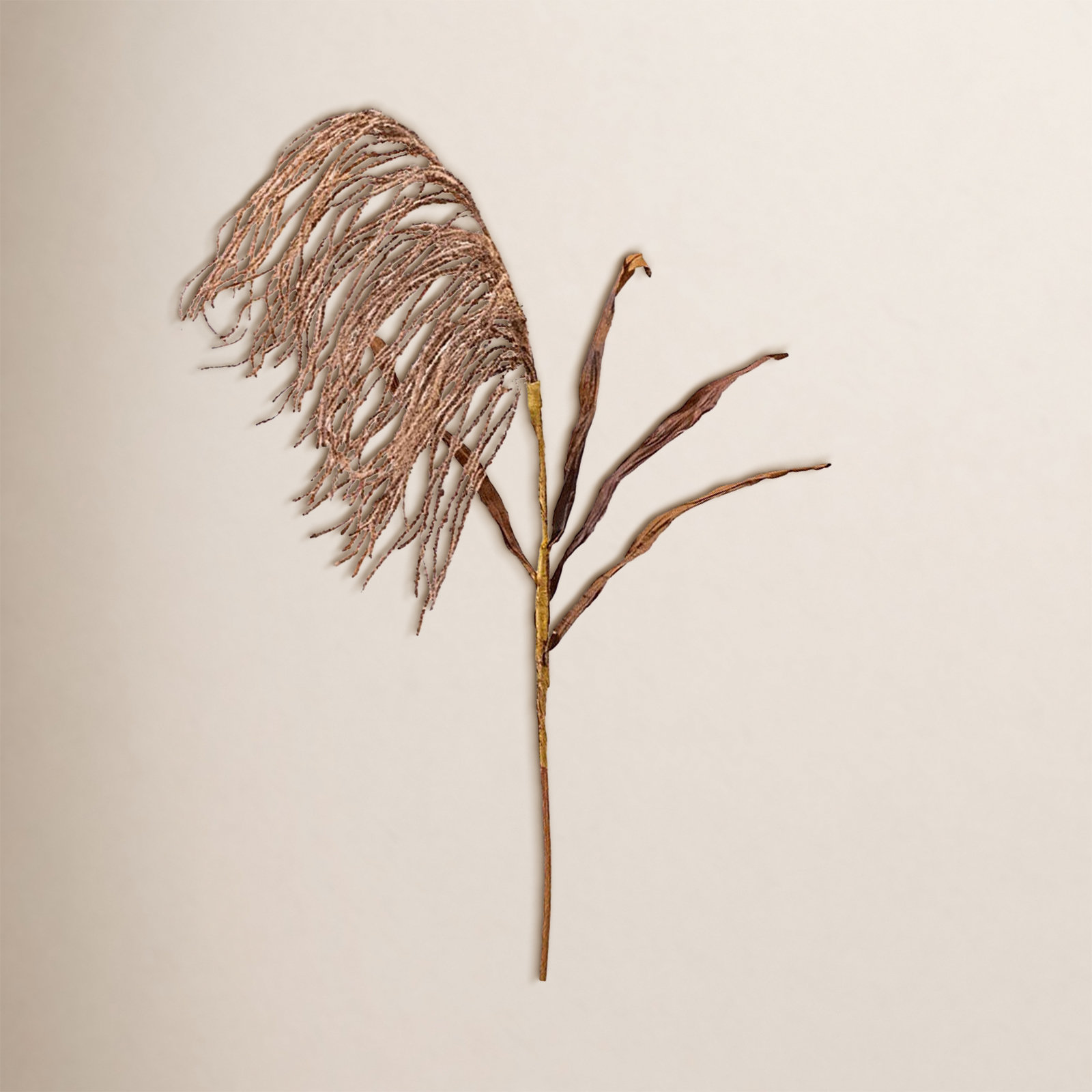 29" Reed Branch