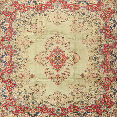 Oriental Indoor Rug