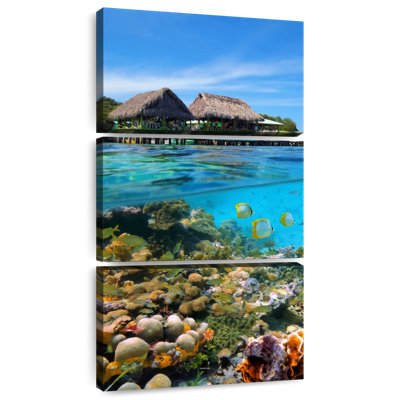 Caribbean Underwater Scenery