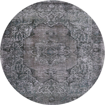 Oriental Indoor Rug