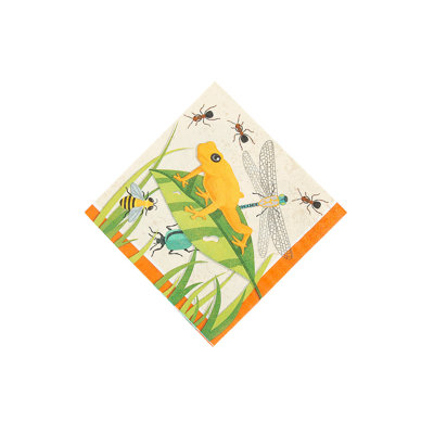 Disposable Paper Napkins