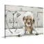« bubble bain chiot »-impression sur toile tendue-807593056