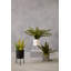 30cm Faux Herbs Plant in Stone Pot