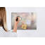 Magnetic Glass Dry Erase Board