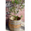 Grand pot de fleurs style urne Oakwood H 27 po x l 27 po