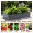 Raised Garden Bed-1989865160-1989865162