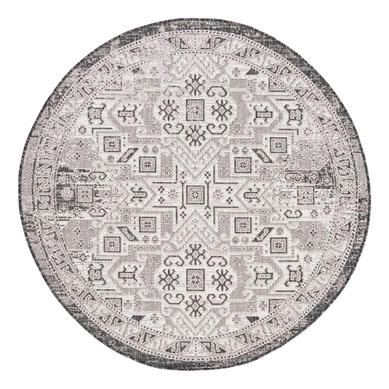 Alucard Indoor / Outdoor Rug, Round 5'3"