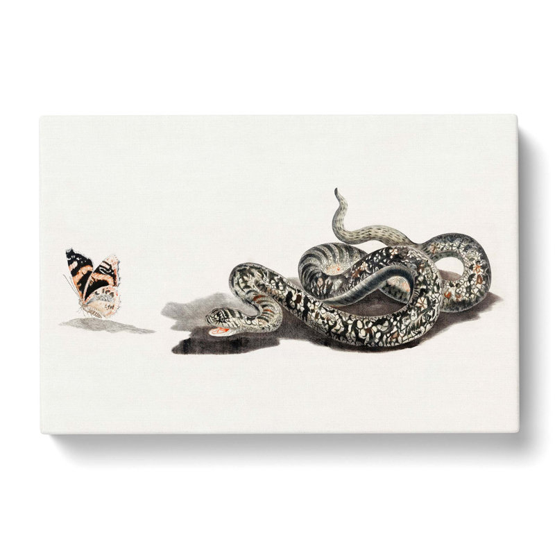 Snake And Butterfly by Johan Teyler - Wrapped Canvas Painting, 50cm H x 76cm W x 3cm D