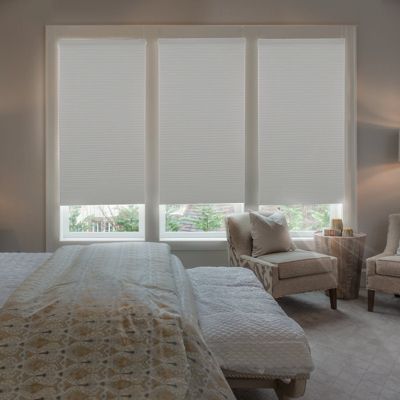 Custom Cordless Cellular Shade, 38"W x 48"L