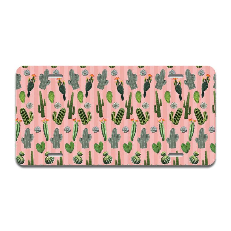 Cadre en aluminium pour jardin de cactus